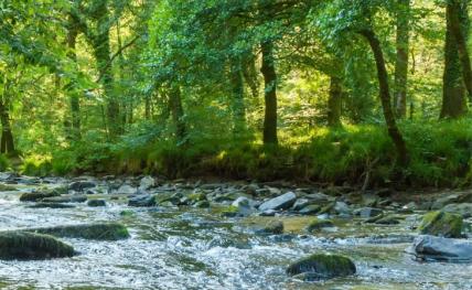 Fleuve, changement climatique