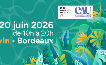 Festival Odyssy 2026