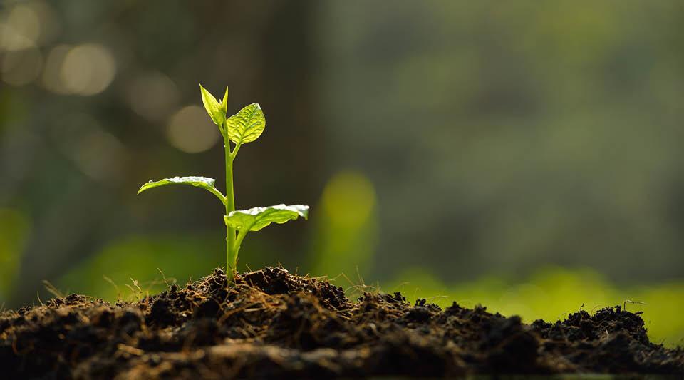 défi Ma Petite Planète