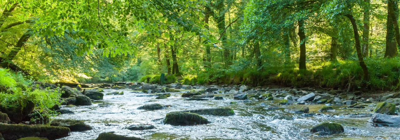 Ouverture des inscriptions au DE IEACC : formez-vous à l’ingénierie écologique et à l’adaptation au changement climatique