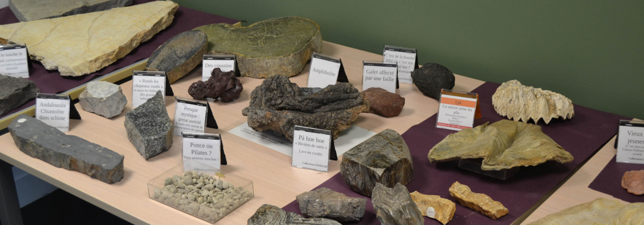 Atelier Ramène ton caillou - découverte de la géologie