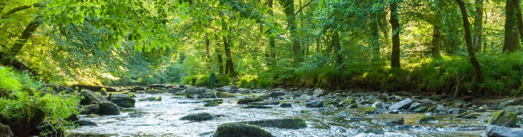Ouverture des inscriptions au DE IEACC : formez-vous à l’ingénierie écologique et à l’adaptation au changement climatique