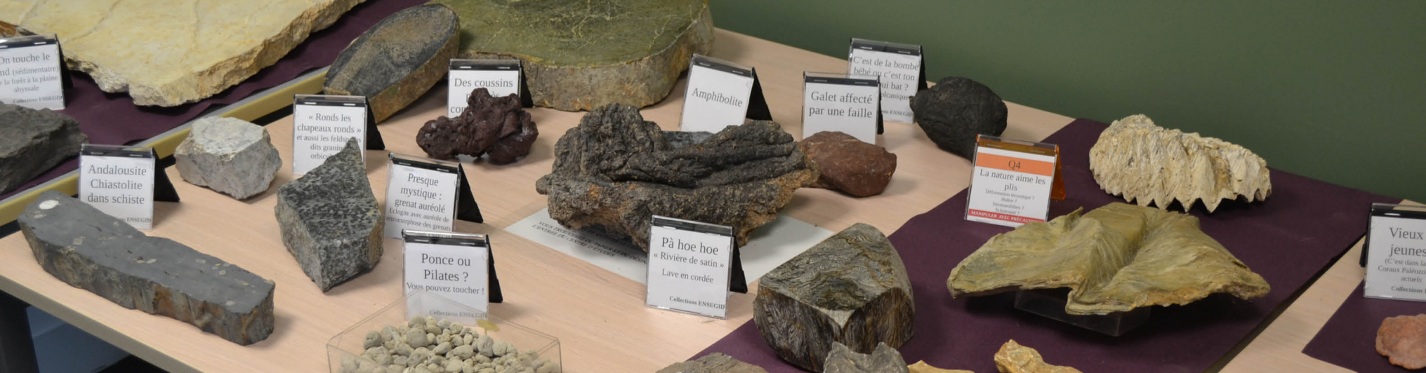 Atelier Ramène ton caillou - découverte de la géologie