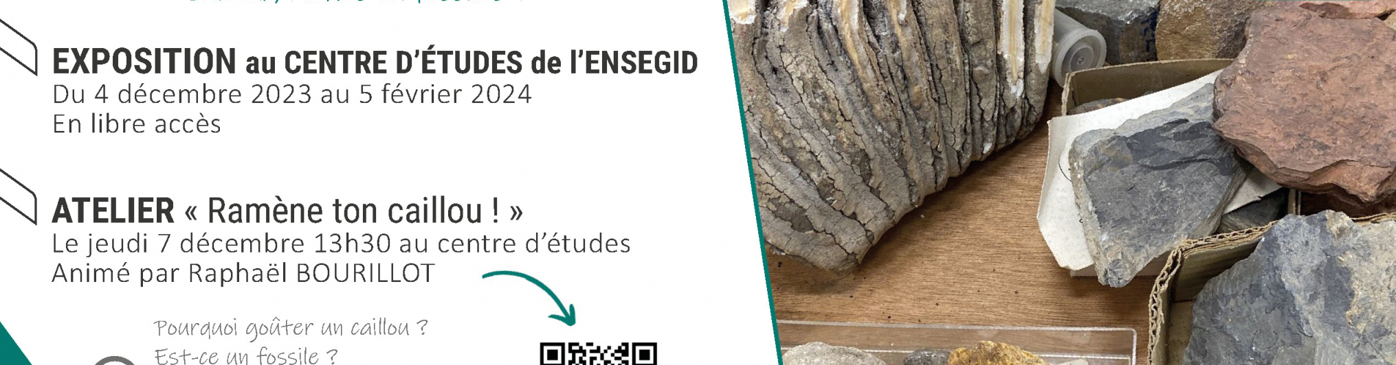 Les collections cachées de l'ENSEGID : cailloux, roches ou fossiles ?
