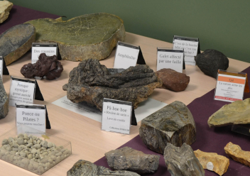 Atelier Ramène ton caillou - découverte de la géologie
