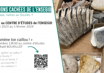 Les collections cachées de l'ENSEGID : cailloux, roches ou fossiles ?