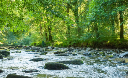 Ouverture des inscriptions au DE IEACC : formez-vous à l’ingénierie écologique et à l’adaptation au changement climatique