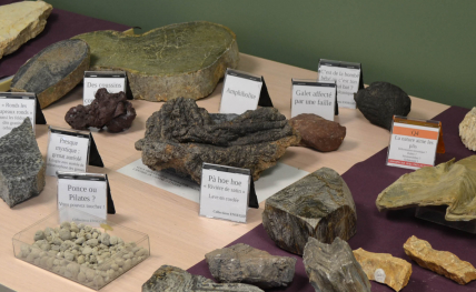 Atelier Ramène ton caillou - découverte de la géologie