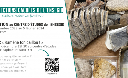 Les collections cachées de l'ENSEGID : cailloux, roches ou fossiles ?